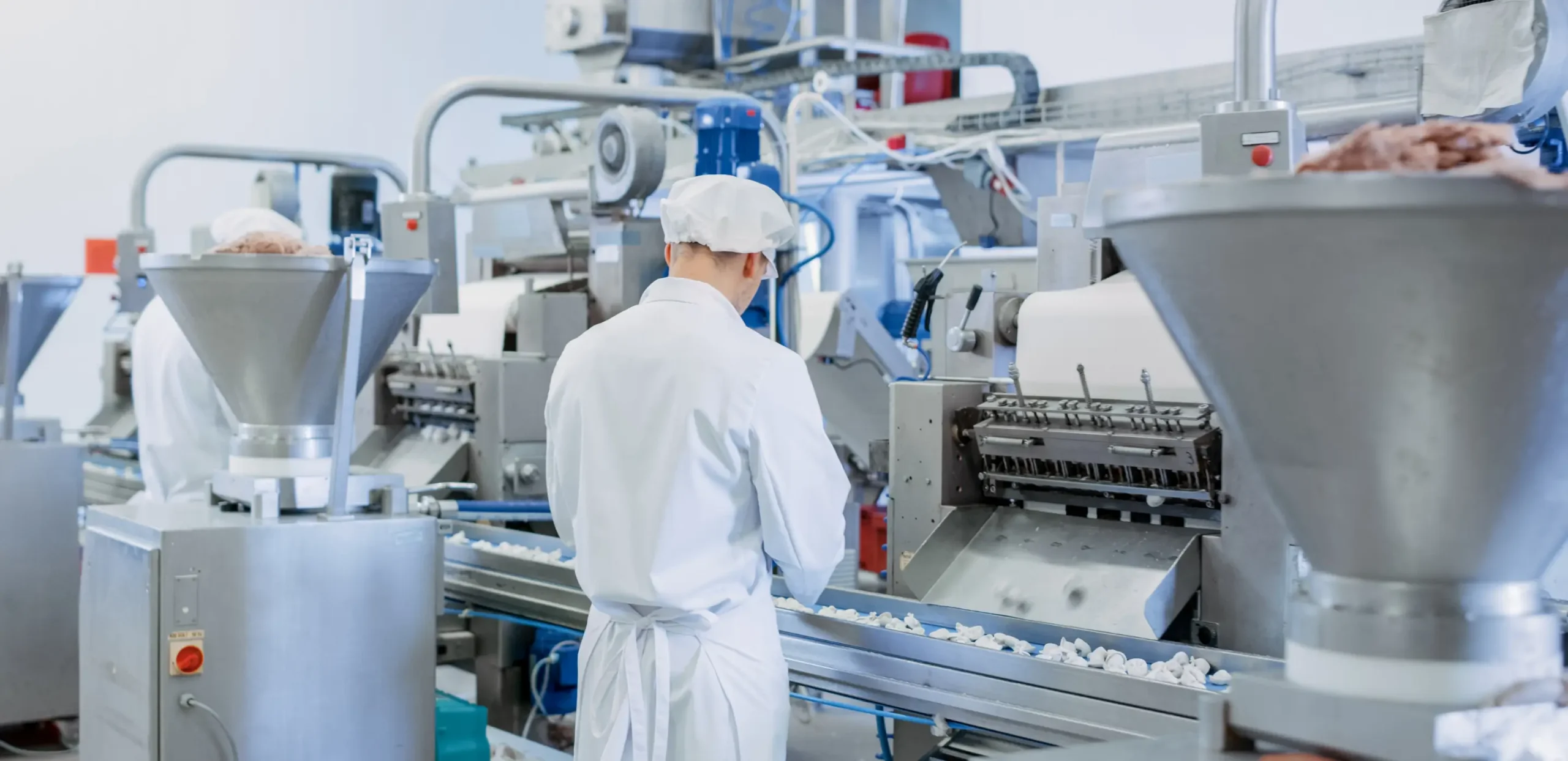 Food Industry Pest Control